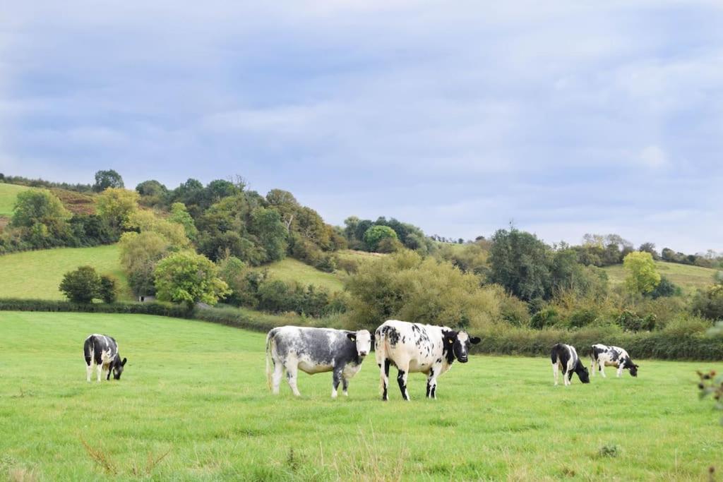 Nr Bicester Village 5 Star Luxury On Farm Piddington Extérieur photo